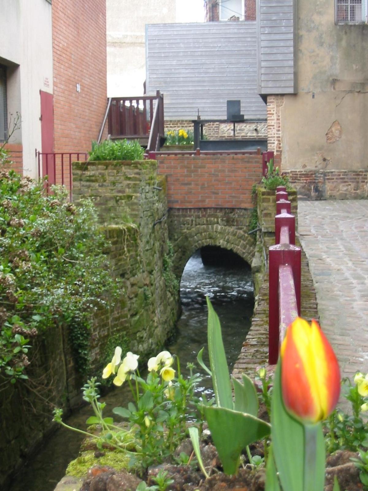 Logis-Hotel & Restaurant Le Carnot Bolbec Bagian luar foto